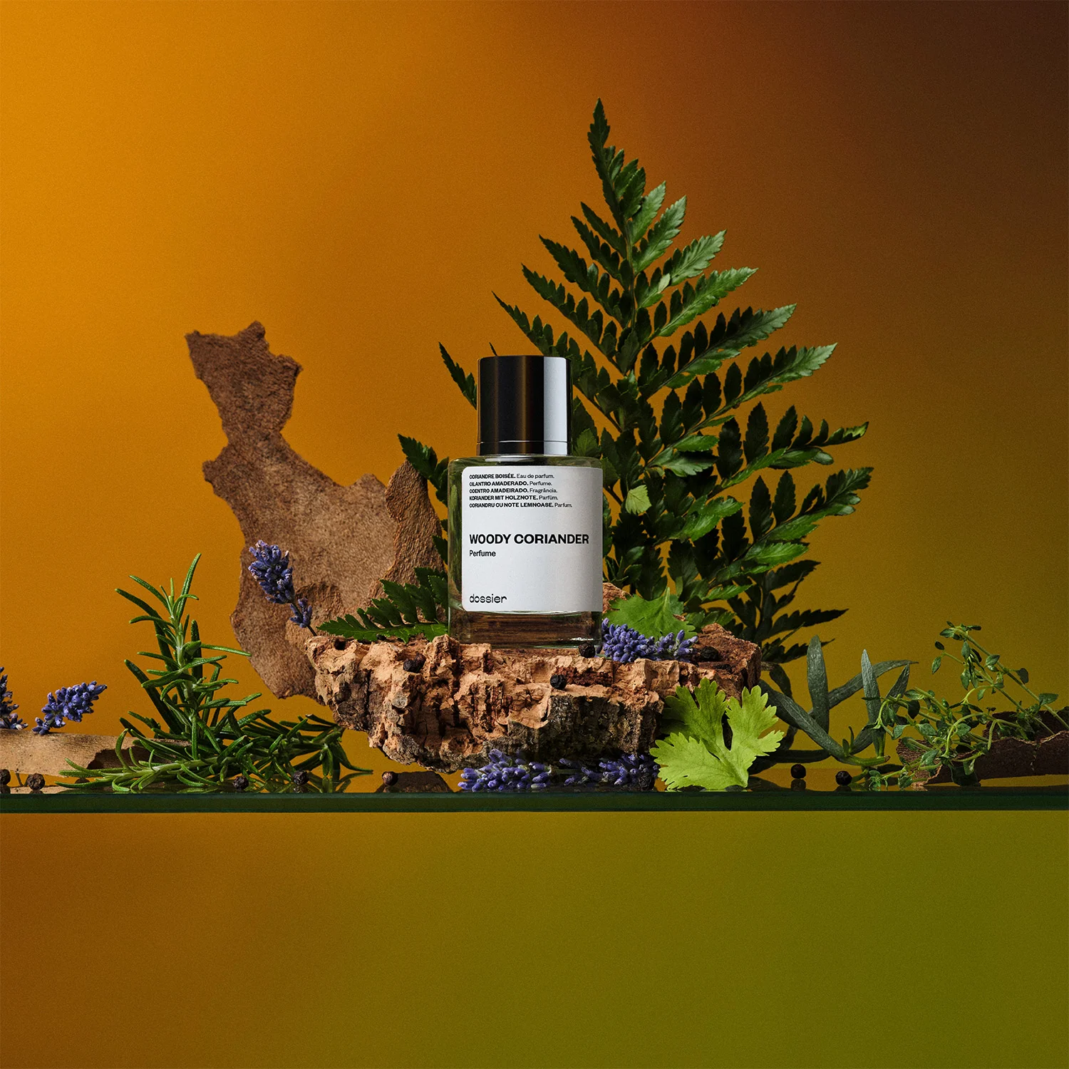 Woody Coriander - Image 3
